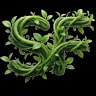 24SuperFood Logo